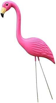 31cUjk+-DBL._AC_UF350,